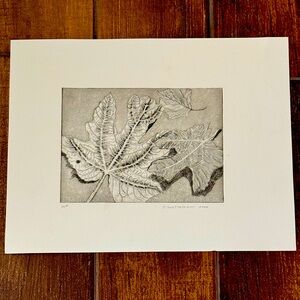 2004 Leaf etching print by Holly Goettelmann